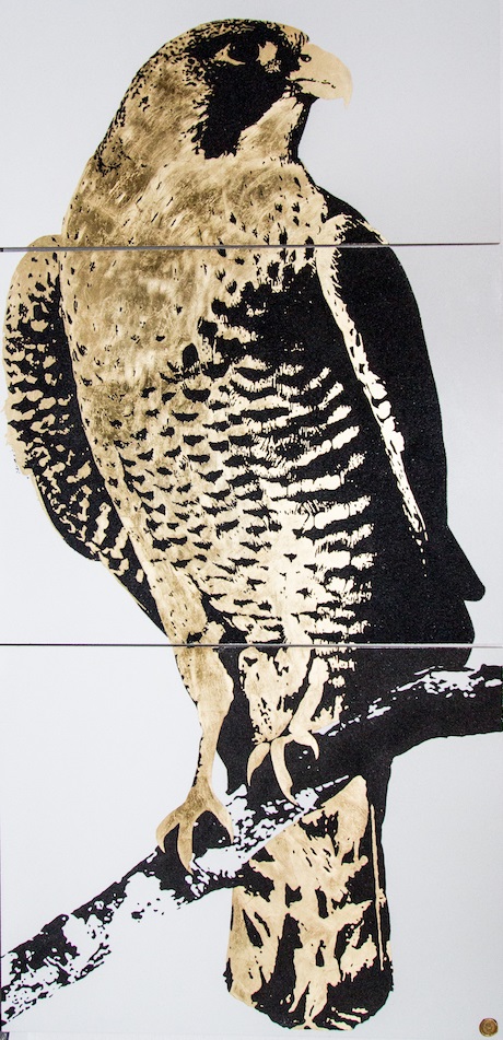 nature image